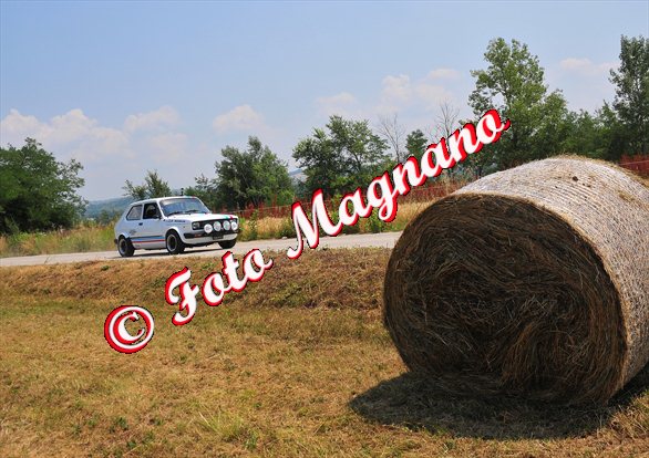 DSC_0473.jpg